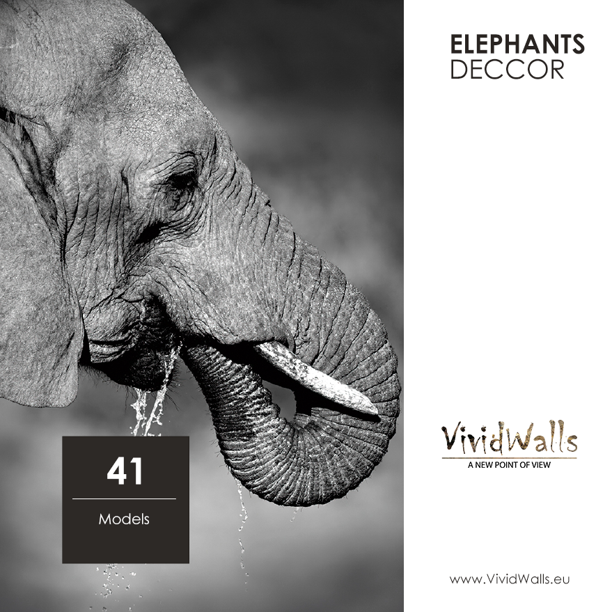 Elephants DECCOR