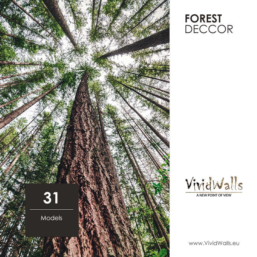 Forest DECCOR