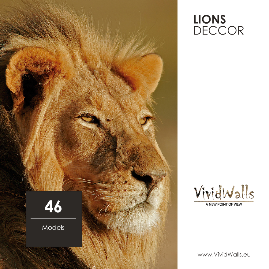 LionsDECCOR